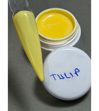 Kolor Xhel Tulip